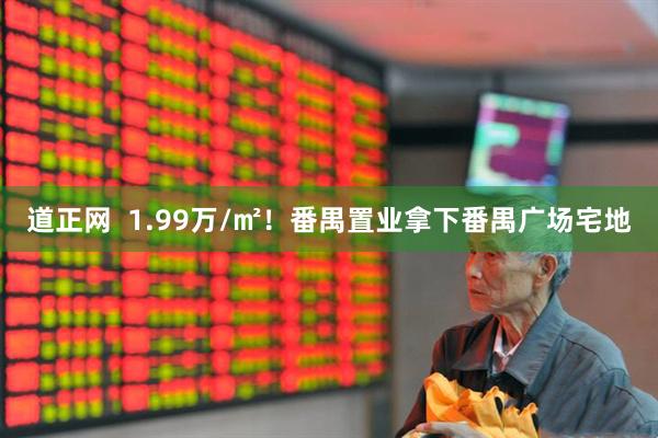 道正网  1.99万/㎡！番禺置业拿下番禺广场宅地