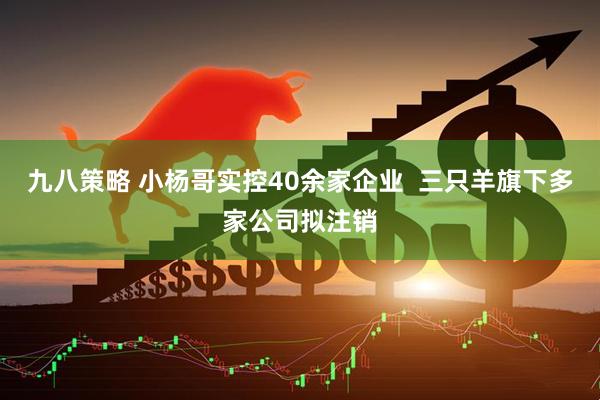 九八策略 小杨哥实控40余家企业  三只羊旗下多家公司拟注销
