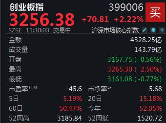 倍倍网 半日上涨2.22%，创业板指奔向3300点大关